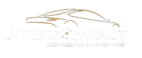 logo X'PERT IMPACT