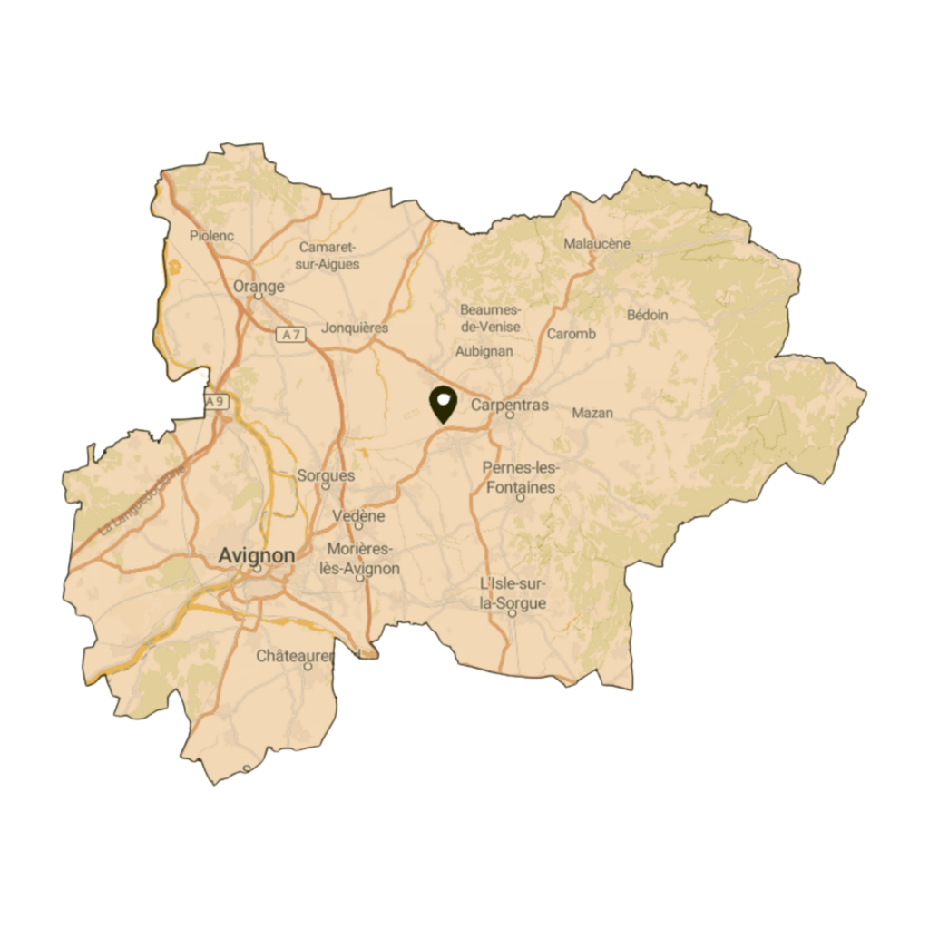 Avignon
